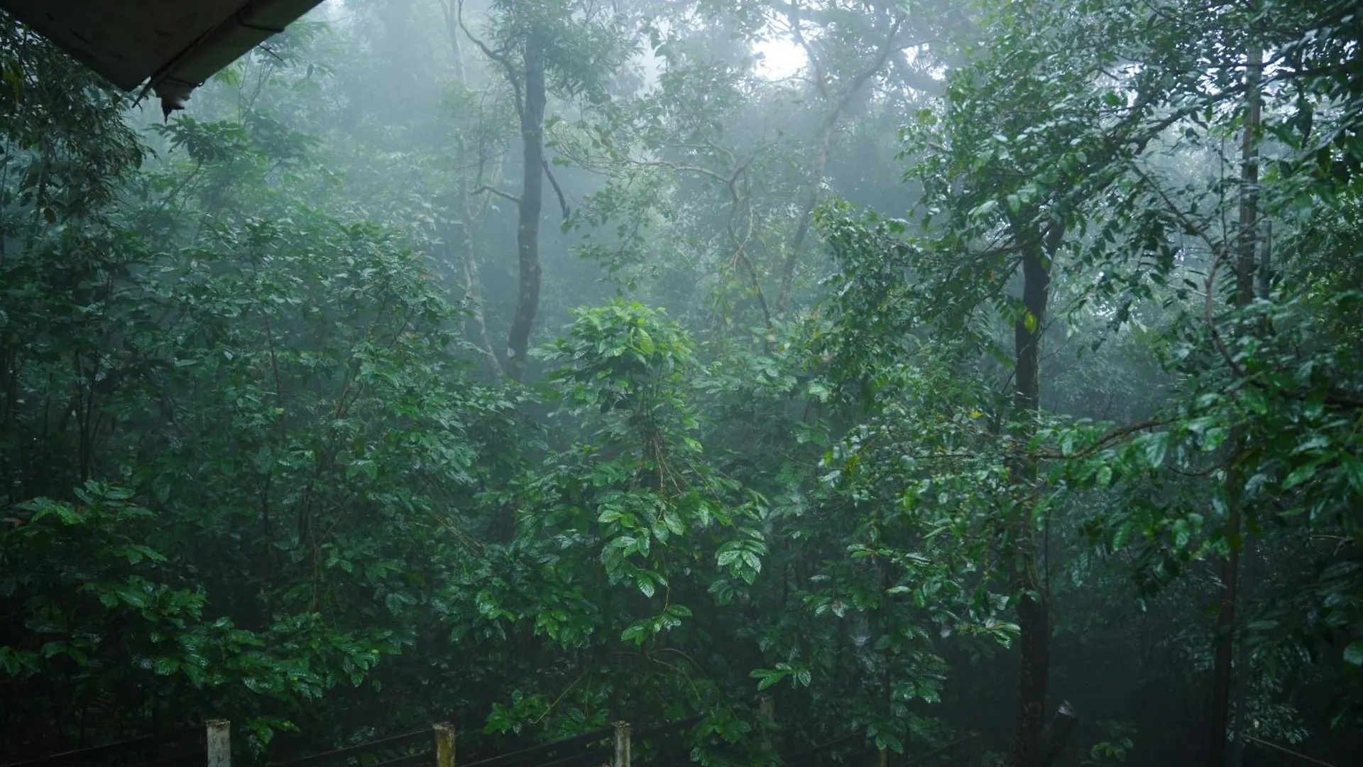 Lakkidi Mist Resort Vythiri